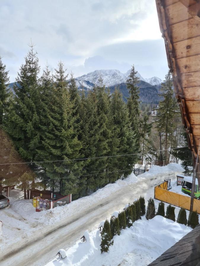 Pokoje Goscinne Zosia Kościelisko Exteriér fotografie
